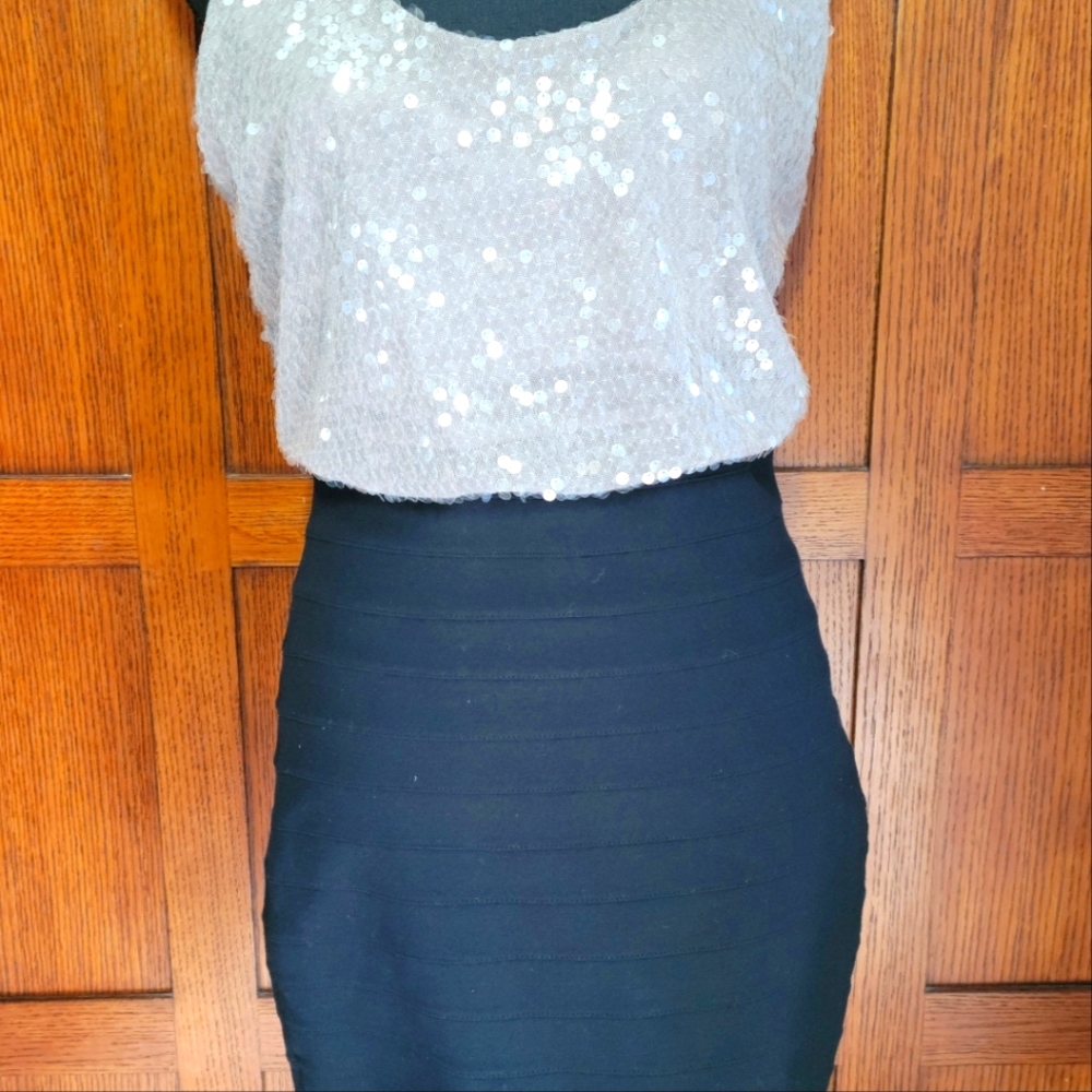 Express sequence pencil skirt dress
